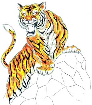tiger_on_the_cliff